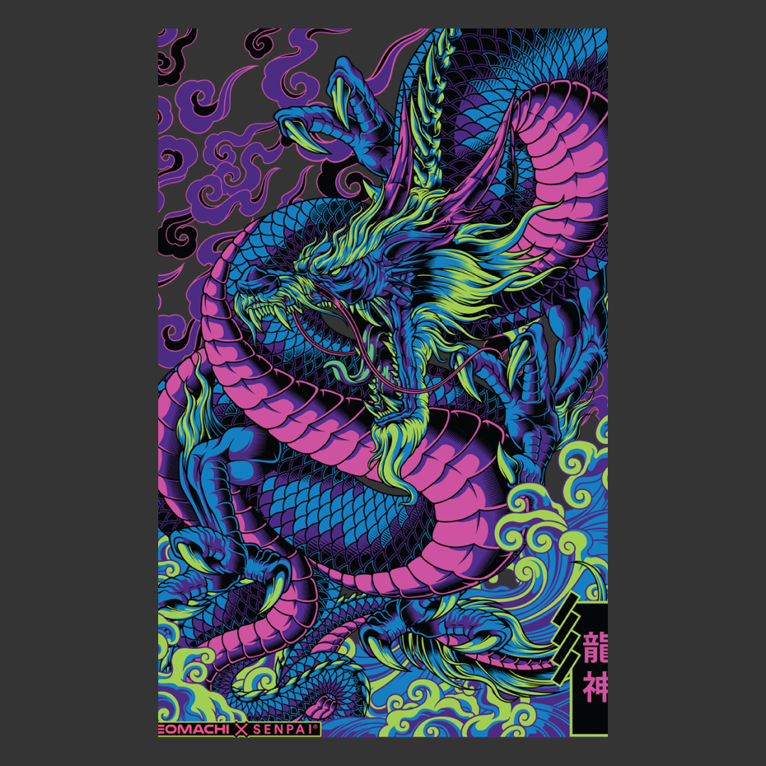 RYUJIN SNOWBOARD PULLOVER JACKET